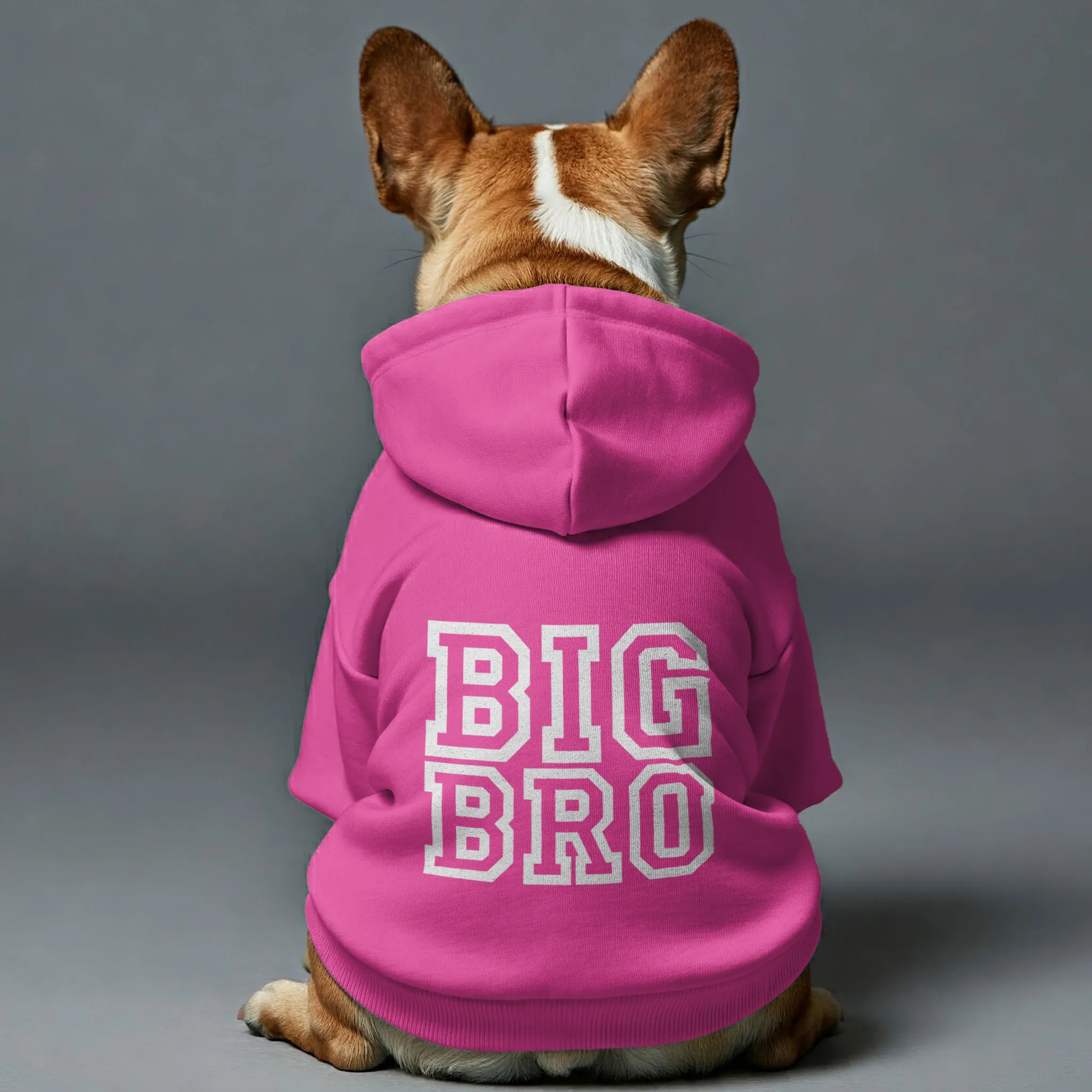 BIG BRO - Personalized French Bulldog Hoodies with Funny Quotes – Stylish, Cozy, and Premium 100% Cotton